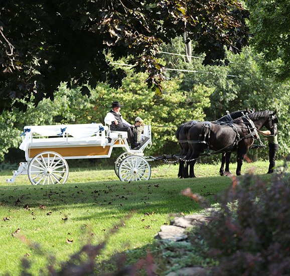 bride and groom picture